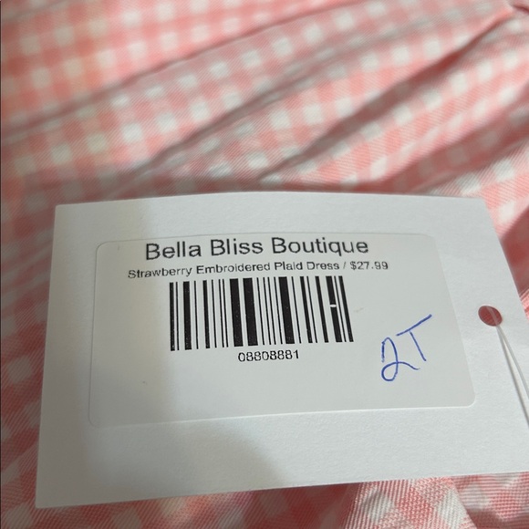 Pink Gingham Dress with Strawberry Embroidery and Smocking - Picture 7 of 7